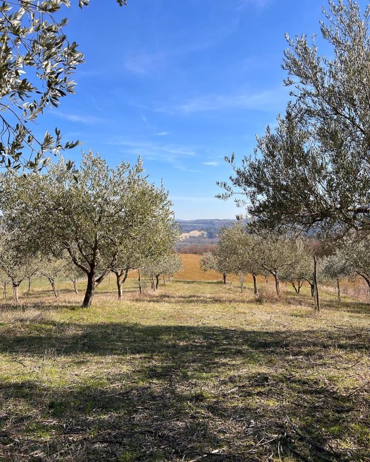 Agriturismo Rio Verde Sasso Marconi Esterno foto
