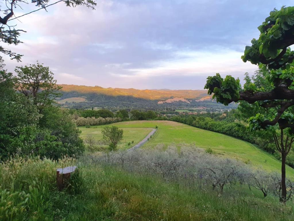 Agriturismo Rio Verde Sasso Marconi Esterno foto