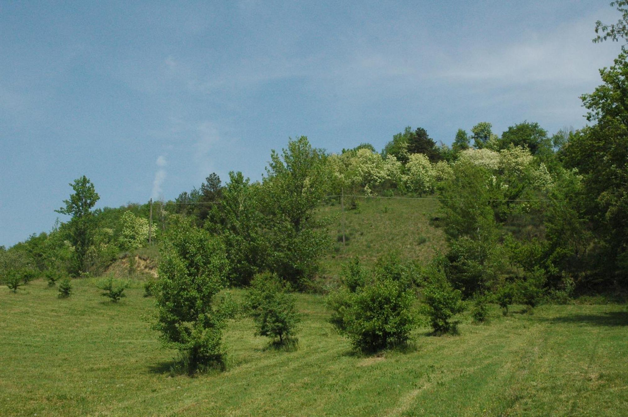 Agriturismo Rio Verde Sasso Marconi Esterno foto
